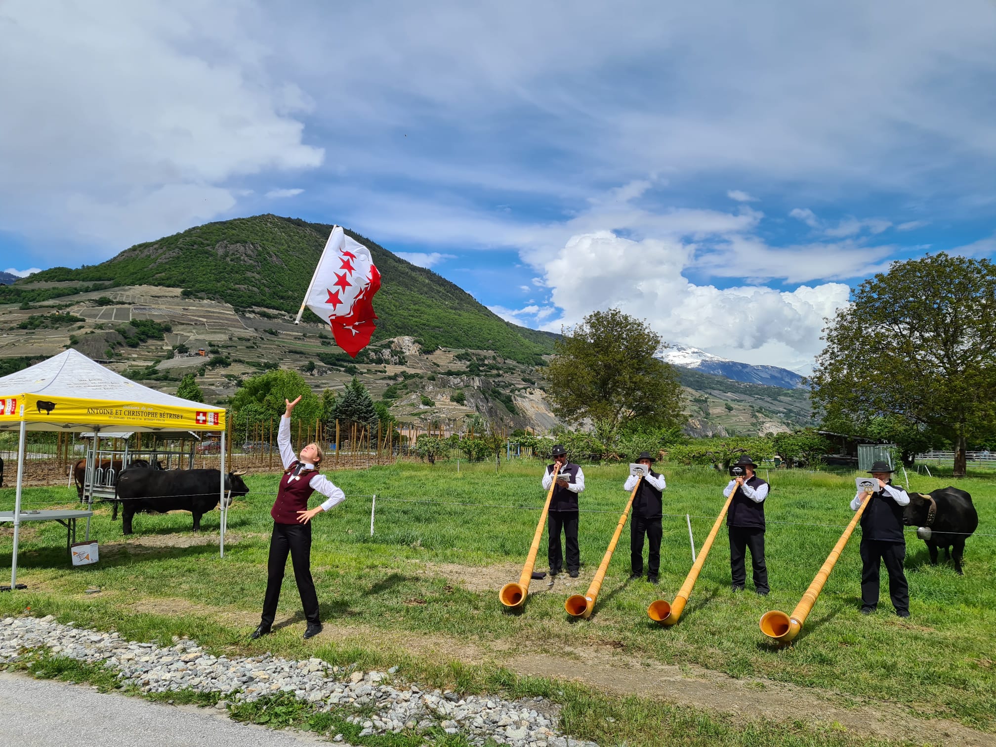 IMG-20210514-WA0002